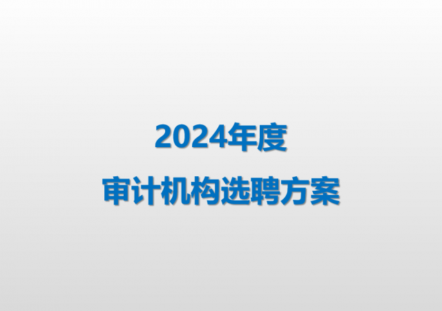 名仕亚洲技术2024年度审计机构选聘方案